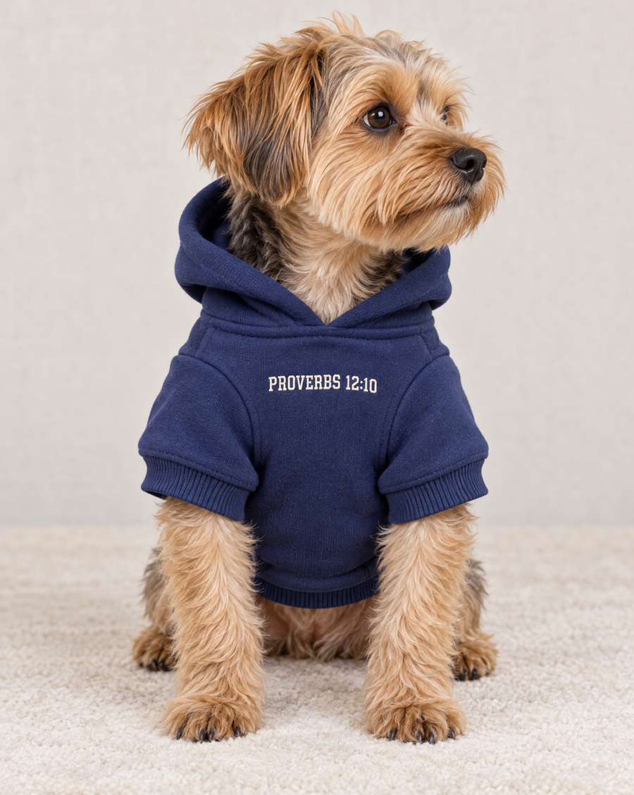 Small dog in the navy dog hoodie, front view with Proverbs 12:10 on the chest