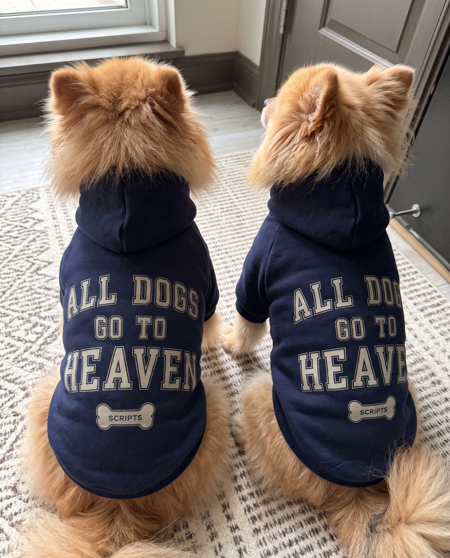 Two dogs side by side in matching navy All Dogs Go To Heaven hoodies, back view