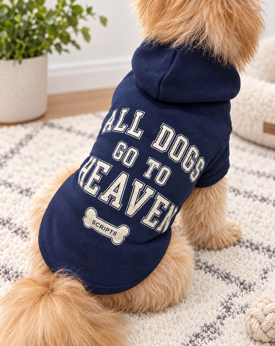 Fluffy golden dog wearing the navy All Dogs Go To Heaven dog hoodie, back print with the SCRIPTS dog bone